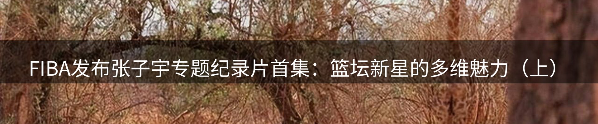 平台资讯